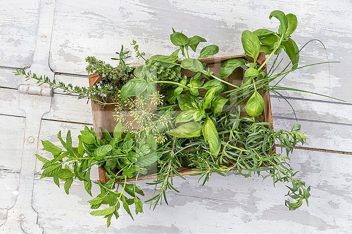 Kitchen herbs in wooden crate isolated over white background