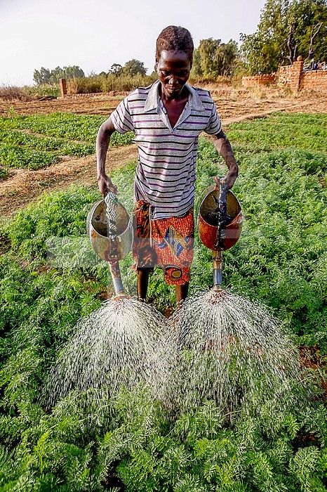 Woman watering a vegetable garden in Loumbila, Burkina Faso.