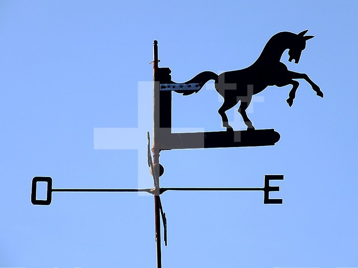 Wrought iron weather vane with silhouette of a horse standing out from the sky.