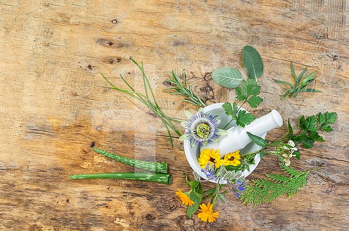 Herb leaf selection of golden thyme, oregano, purple sage, mint and rosemary in flower in a rustic olive wood mortar with pestle, isolated on wooden background.