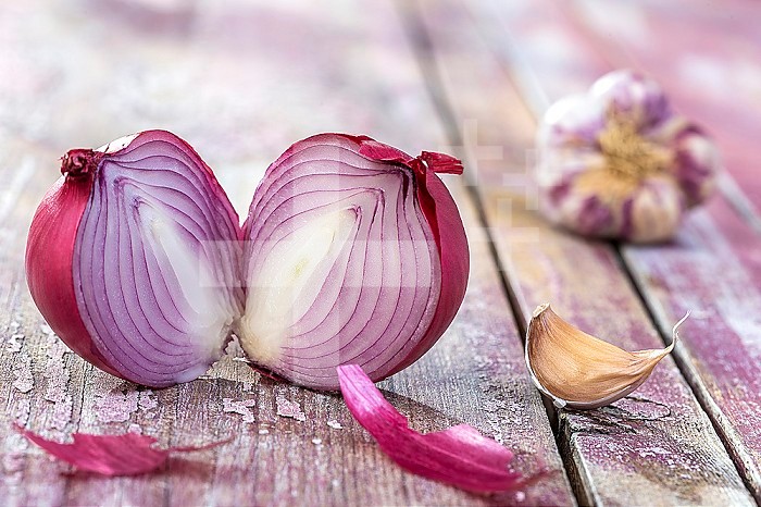 Beautiful fresh cut red onions, and pink garlic. Group of objects or cooking ingredients, isolated on pink