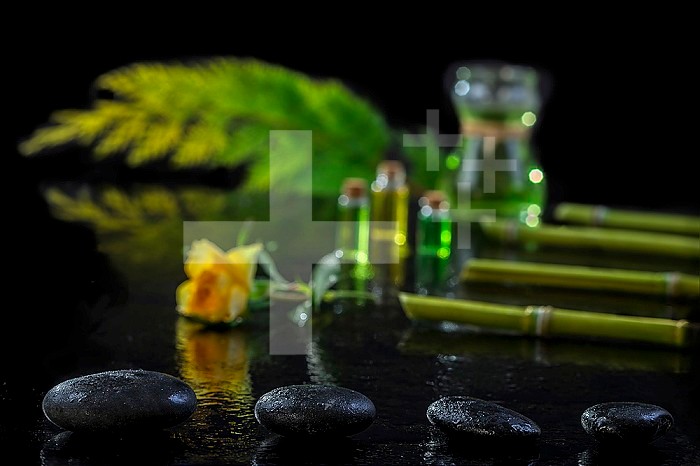 Beautiful spa composition with zen basalt stones and bamboo essential oil plants and flowers on black