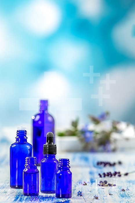 Selection of essential oils bottles and herbs and flowers, thyme and borage on blue background.