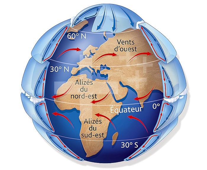 Didactic illustration representing the atmospheric (air) movements caused mainly by the sun . The air masses move in the form of atmospheric convection cells.There are 3 in the northern hemisphere and 3 in the southern hemisphere.