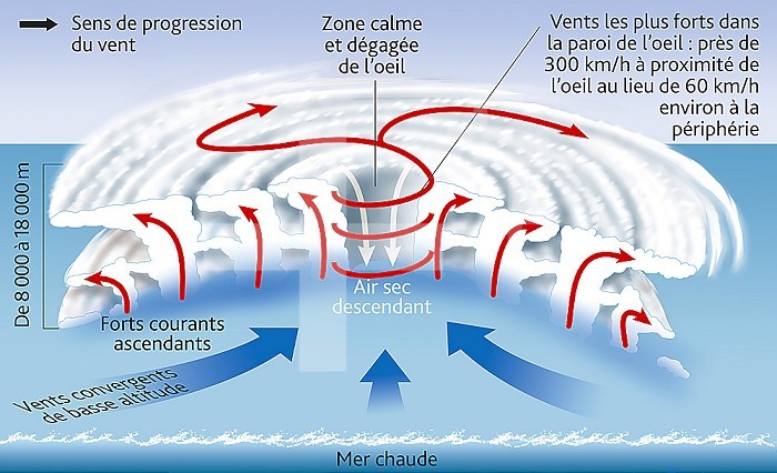 Didactic illustration showing the formation of cyclones that are born in the tropics. Hot water causes upward movements of air with moisture, accentuated by cloud formation. On the surface is created a zone of depression which attracts air masses (convergent winds) .. The force of Coriolis causes a wind winding and the cyclone´s movement towards the West.