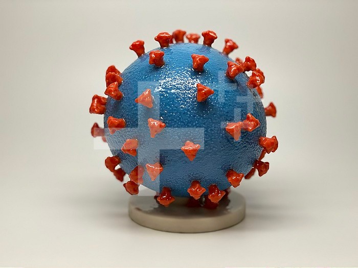 3D print of a SARS-CoV-2 also known as 2019-nCoV, the virus that causes COVID-19 virus particle. The virus surface (blue) is covered with spike proteins (red) that enable the virus to enter and infect human cells. The spikes on the surface of coronaviruses give this virus family its name ? corona, which is Latin for ?crown,? and most any coronavirus will have a crown-like appearance. For more information, visit the NIH 3D Print Exchange at 3dprint.nih.gov. Credit: NIH