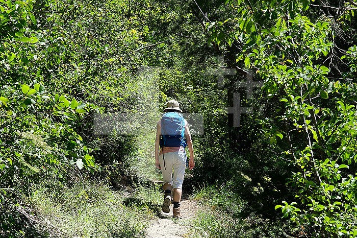 Hiker in mountain area
