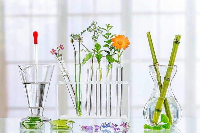 Panoramic image of a laboratory Fresh medicinal plant and Flowers ready for es for t experiment on white background