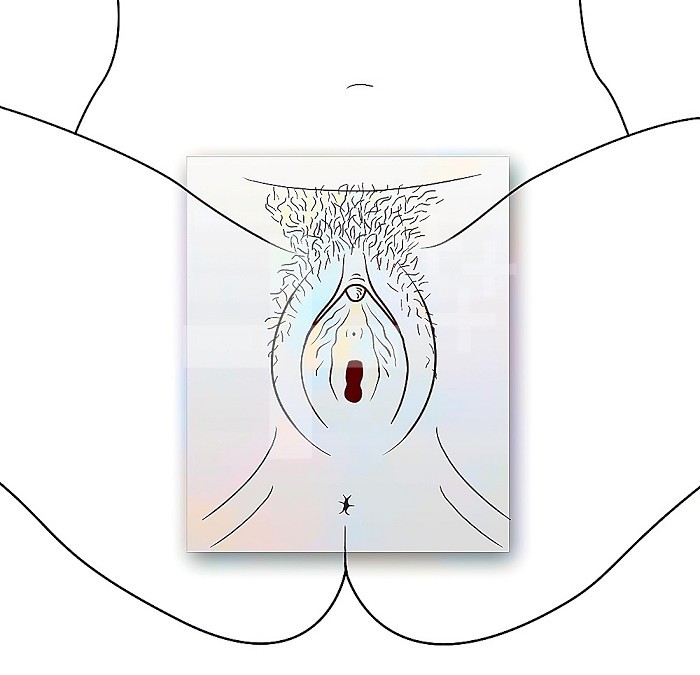 Anatomy of female external genitalia with pubis, vulva, clitoris. .