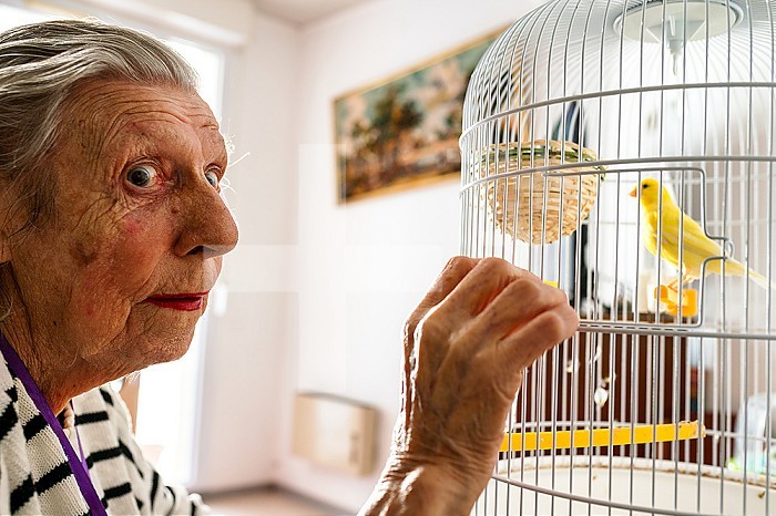 A hundred-year-old widow at the nursing home with her canary. Fifille is the name of the canary, locked up like her, but in a cage.
