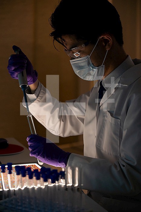Male researcher in front of genome screens.