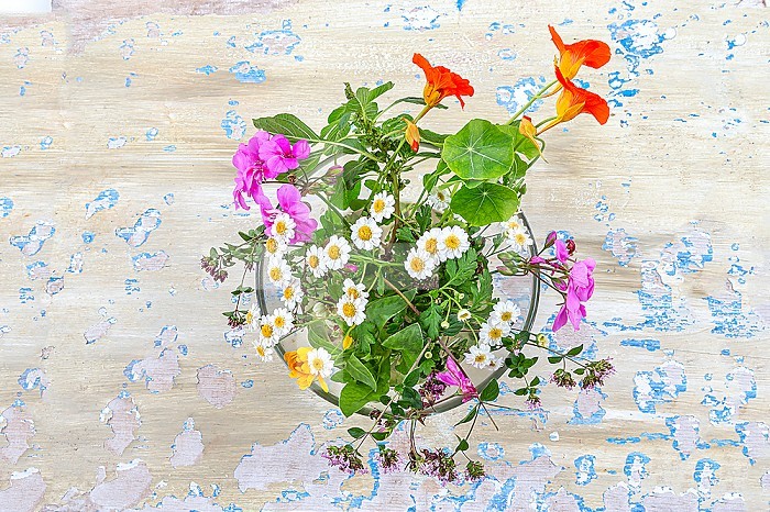 Bouquet of flowers and medicinal plants for herbal medicine viewed from above on speckled blue background.