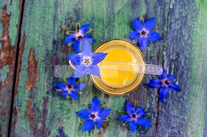 Jar of royal jelly viewed from above on old green board, surrounded by borage flowers.