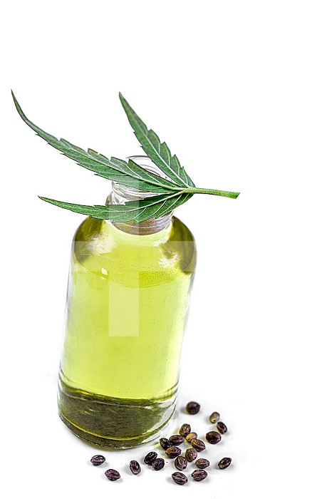 Bottle of organic hemp oil with leaf and seeds.