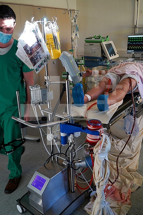 Training of medical interns in the ECMO technique, Extracorporeal Membrane Oxygenation.