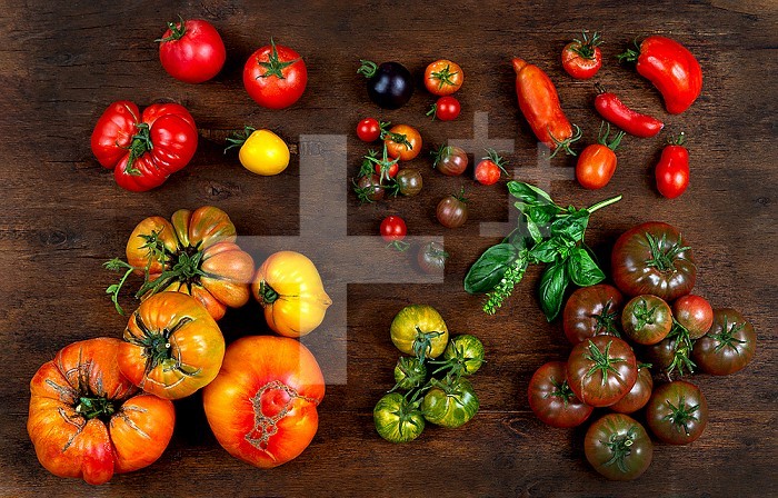 Tomatoes grouped by species seen from above