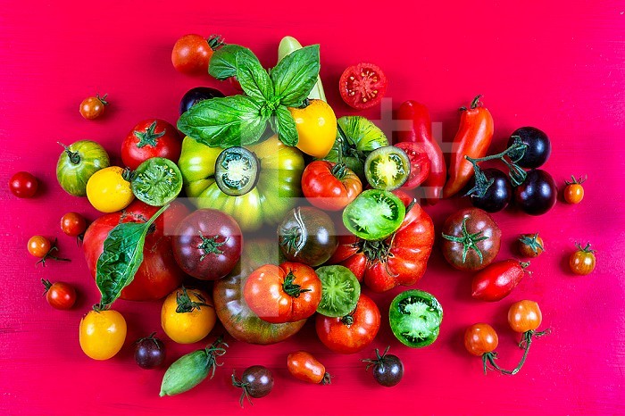 Tomatoes of different ancient species placed on a bright red background.