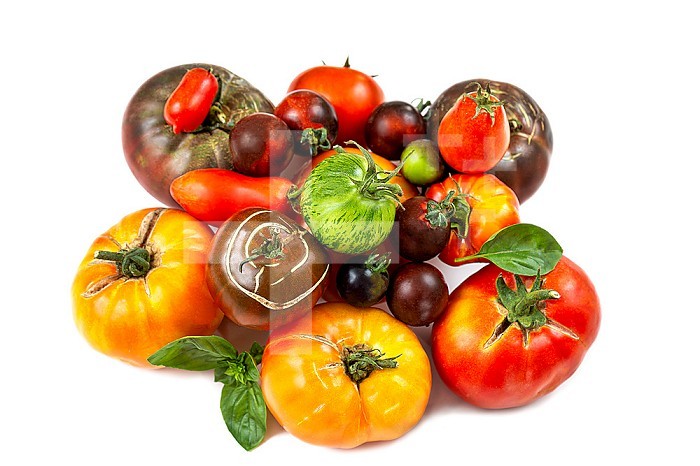 Main varieties of old tomatoes