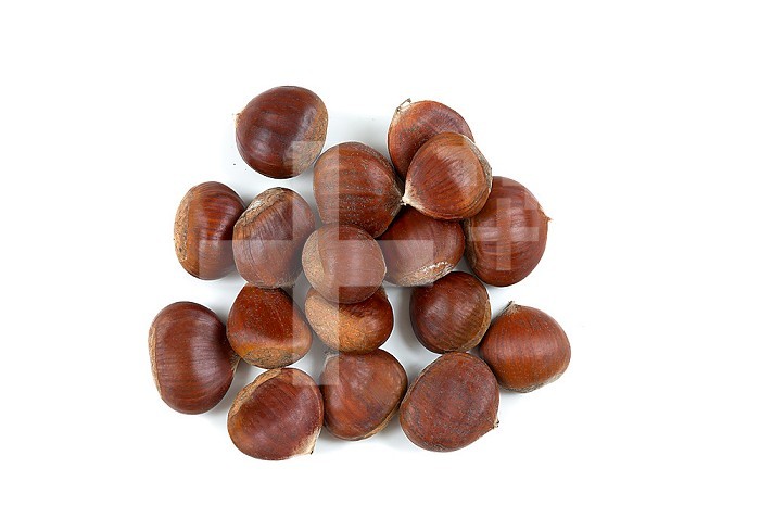 Handful of raw chestnuts, on a white background.