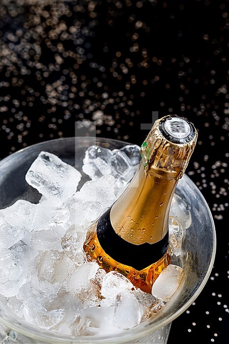 Bottle of champagne in an ice bucket.