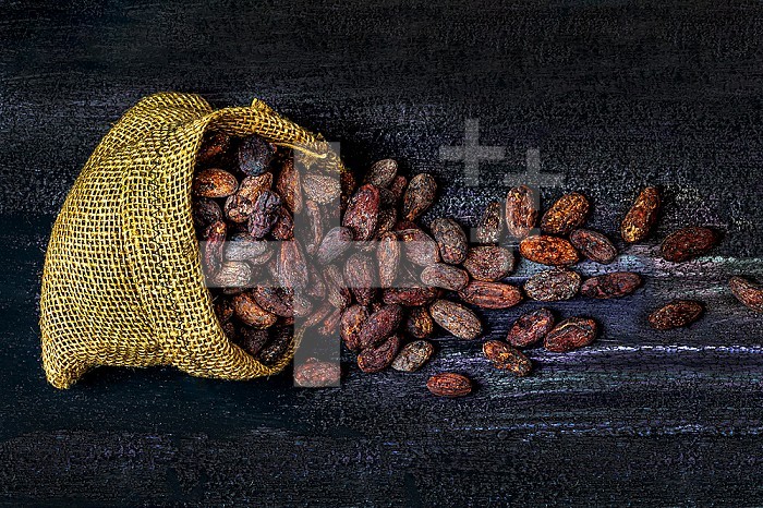 Close-up cocoa beans from the cocoa tree in a burlap pouch.