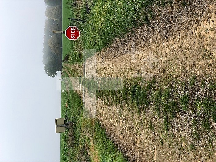 Railway track crossing a rural road in Hauts-de-France