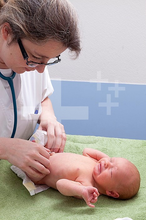 The pediatrician checks the appearance of the umbilical cord. Saint Vincent de Paul Hospital, Lille.