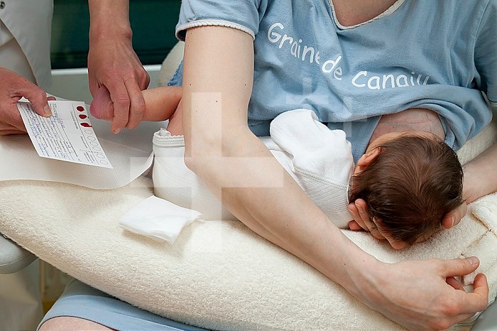 Hospital. Maternity. Drops of the newborn´s blood, taken from his heel, are placed on a name card for analysis on the detection of rare diseases such as cystic fibrosis.