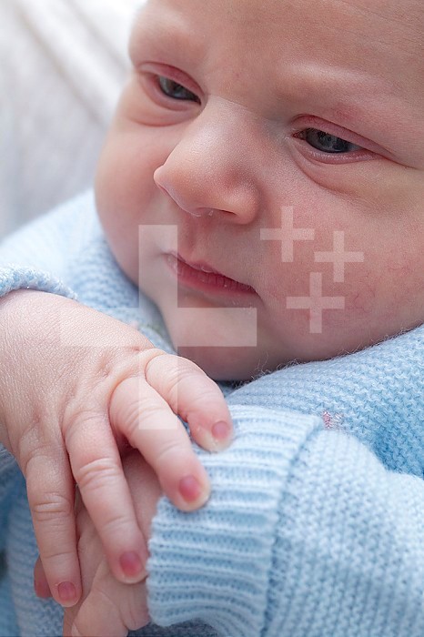 Newborn baby face with crossed hands. Baby is 2 days old.