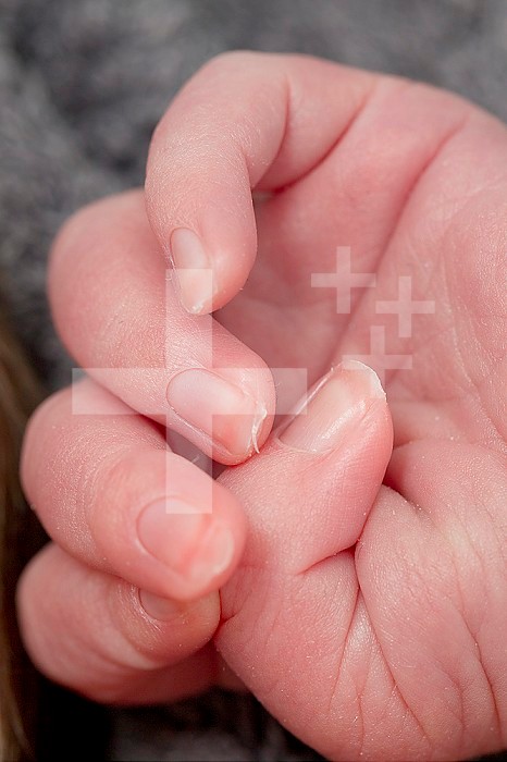 Hand of newborn at 3 days old.