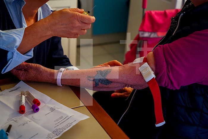 Freelance nurse taking a blood sample from a patient.