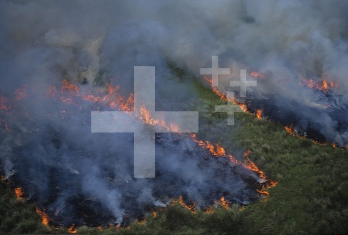 Controlled or prescribed burn with heat waves.