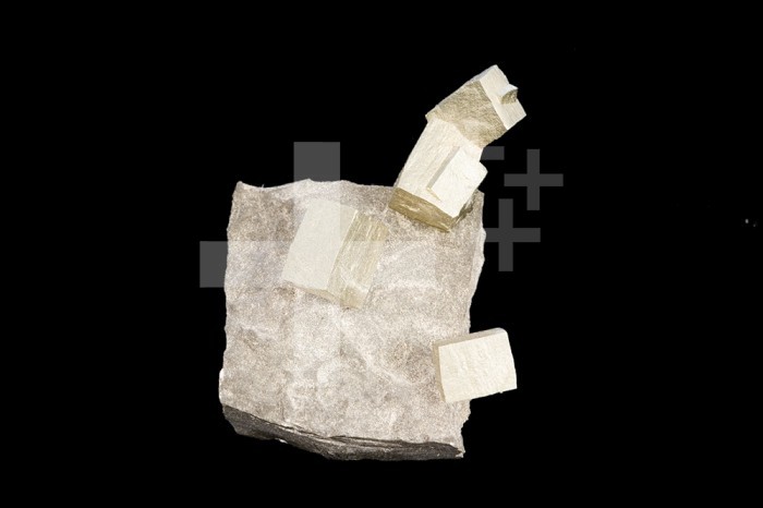 Pyrite crystals on Shale, Syracuse, New York, USA.