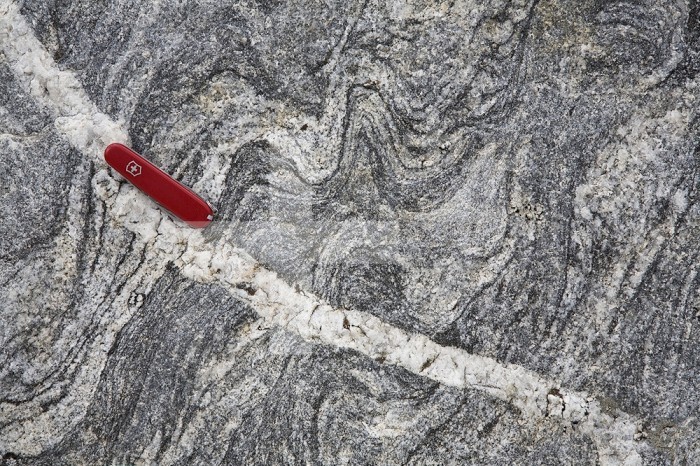 Close up of a Pegmatite dike cutting folded Archean Gneiss, Teton Range, Wyoming, USA, with a knife for scale.