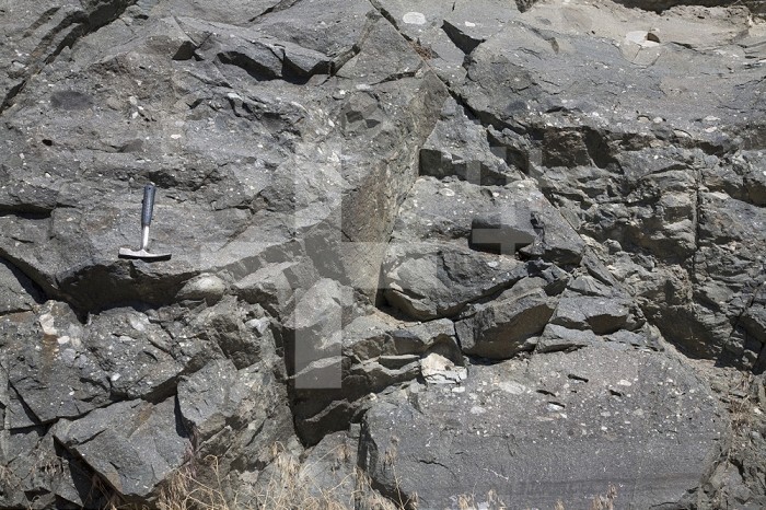 Conglomerate beds in sandstone, Proterozoic LaHood Formation, Montana, USA, with a geology hammer for scale.