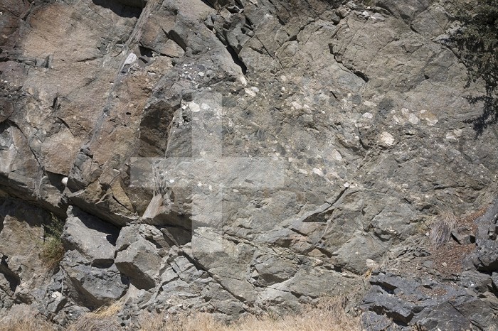 Conglomerate beds in sandstone, Proterozoic LaHood Formation, Montana, USA.