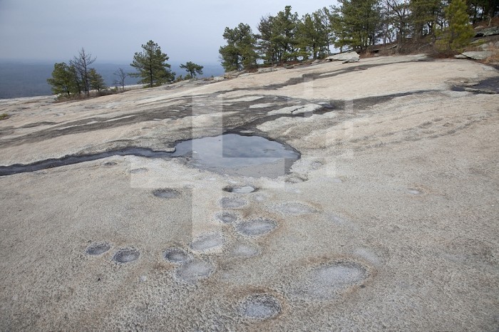 Weathering pits and water filled pothole in granite, Stone Mountain, Georgia.