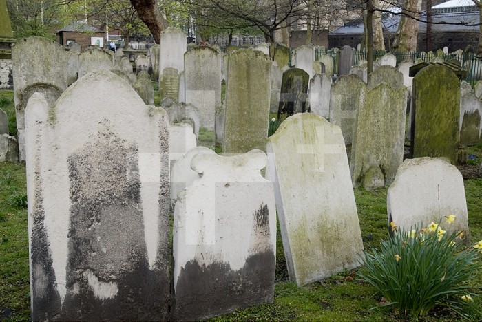 Limestone headstones in a London cemetery are illegible after centuries of weathering