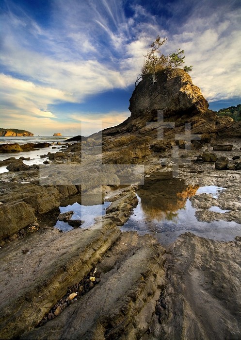 Rocky shore with tide pools at low tide, Costa Rica