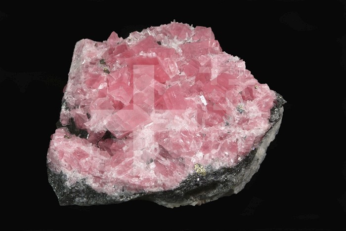Rhodochrosite translucent pink crystals on matrix, Sweet Home Mine, Park County, Colorado, USA