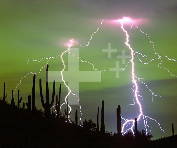Dramatic cloud-to-ground lightning strikes with silhouetted Saguaro Cactus on a ridge in the Sonoran Desert. The eerie green glow is produced by mercury vapor lights reflected from the clouds over the city of Tucson, Arizona behind the hill in foreground, USA.