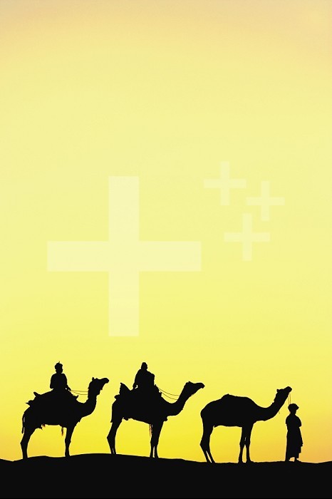 Camels and camel driver silhouetted at sunset, Thar Desert, Jodhpur, India.