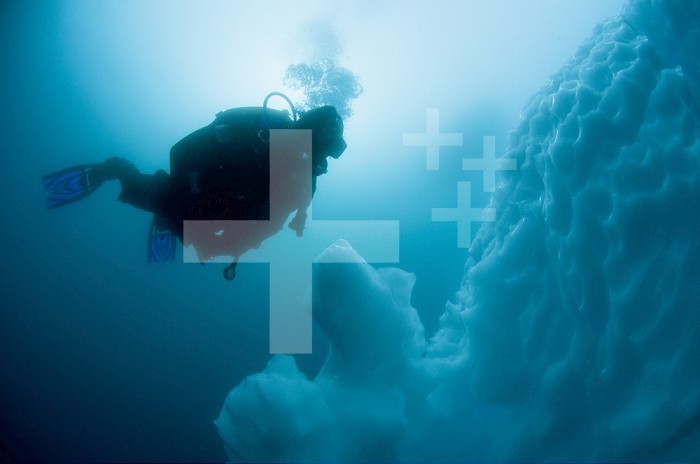 Antarctic scuba diver swimming near the underwater portion of an iceberg