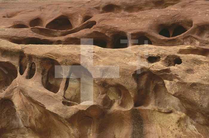 Cliff face eroded or cavernously weathered into intricately sculpted arches and cavities or tafoni. Canyonlands National Park, Colorado Plateau, Utah, USA.