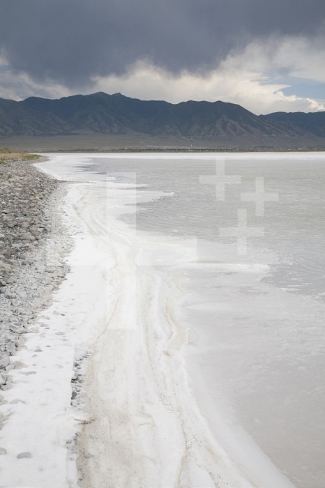 Precipitation of salt along the edge of a lake in the Great Salt Lake Desert, Utah, USA