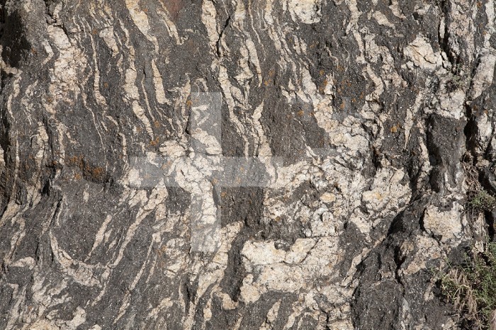 Precambrian basement Gneiss.  Photo is about 1 m across.