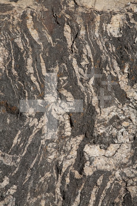 Precambrian basement Gneiss.  Photo is about 1 m from top to bottom.