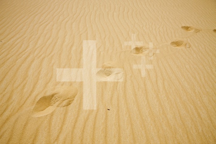 Footprints on a sand dune in the Libyan Desert, Egypt