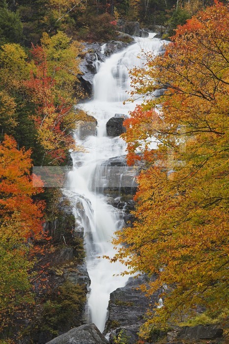 Silver Cascade, White Mountain National Forest in autumn, Crawford Notch State Park, New Hampshire, USA