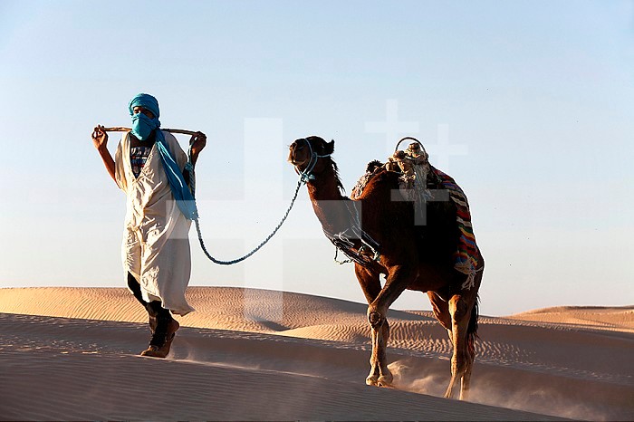 Camel driver in the Sahara desert.